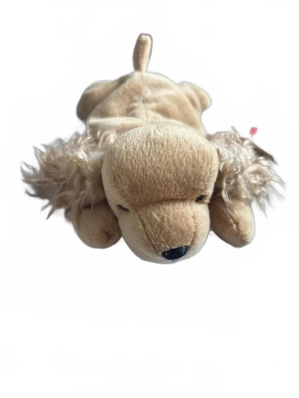 Ty Spunky Beanie Baby 1997 9